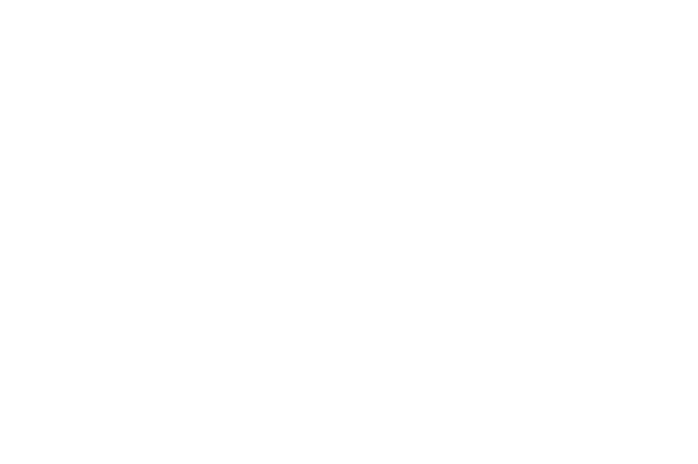 TIDAL